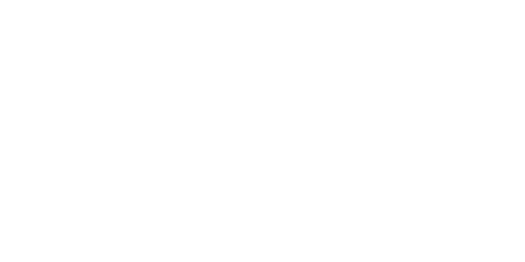 BRIDIFY