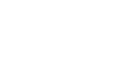 fruits